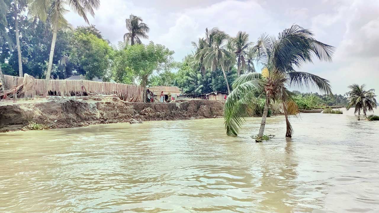 নড়াইলের লোহাগড়ায় মধুমতী নদীভাঙনে বিলীন হচ্ছে বসতবাড়ি। ছবি : কালবেলা