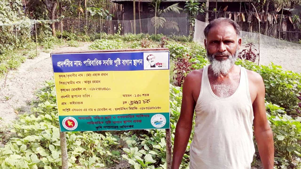 চাঁদপুরে পারিবারিক পুষ্টি বাগানে লাভবান কৃষক