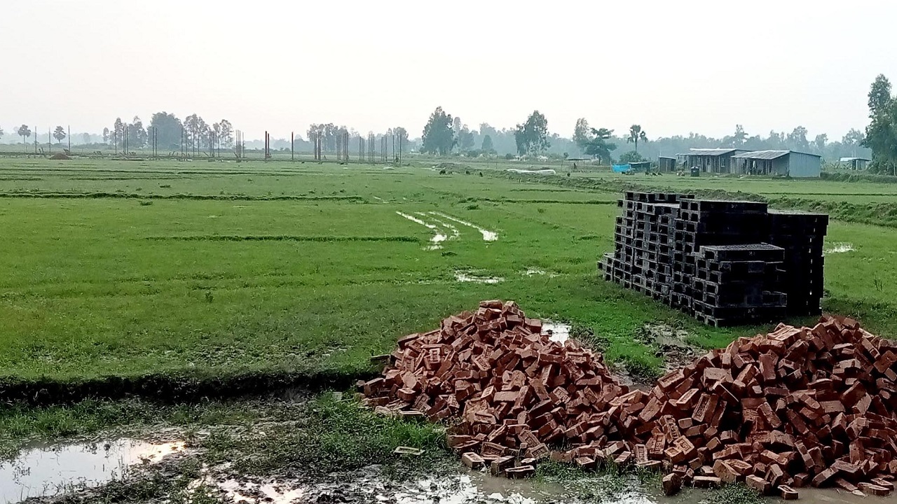 বগুড়ায় আবাদি জমি ভরাট করে গড়ে উঠছে ইন্ডাস্ট্রি। ছবি : কালবেলা