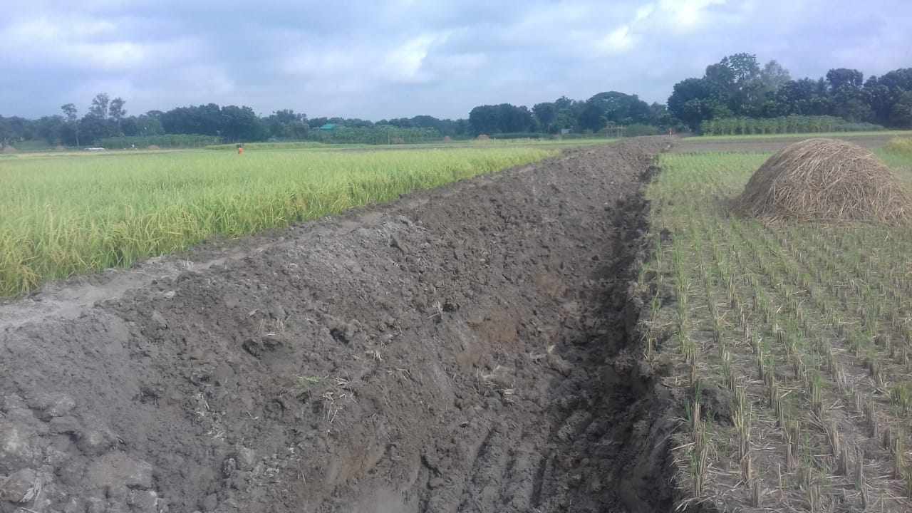 আবাদি জমির ওপর দিয়ে রাস্তা করার চেষ্টা। ছবি : কালবেলা