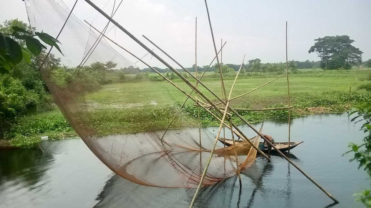 চাঁদপুরে ভেসাল-কারেন্ট জালের ছড়াছড়ি। ছবি : কালবেলা