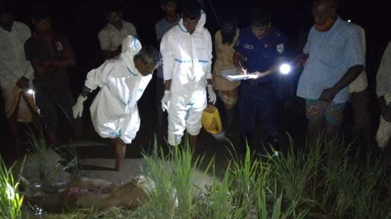 লালমনিরহাটে তিস্তা নদীর চর থেকে অজ্ঞাত দুই যুবকের মরদেহ উদ্ধার। ছবি : কালবেলা
