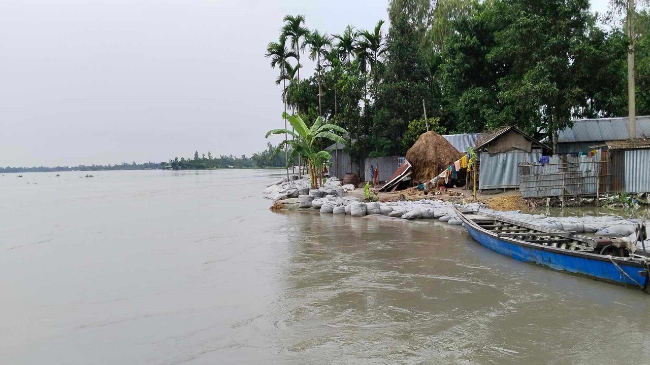 কুড়িগ্রামে তিস্তার পানি বিপৎসীমার ২৫ সেন্টিমিটার ওপর দিয়ে প্রবাহিত হচ্ছে। ছবি : কালবেলা