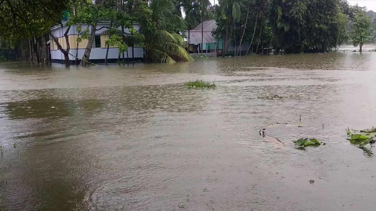 কিশোরগঞ্জে কয়েকদিনের টানা ভারী বর্ষণে ভেসে গেছে বহু পুকুরের মাছ। ছবি : কালবেলা