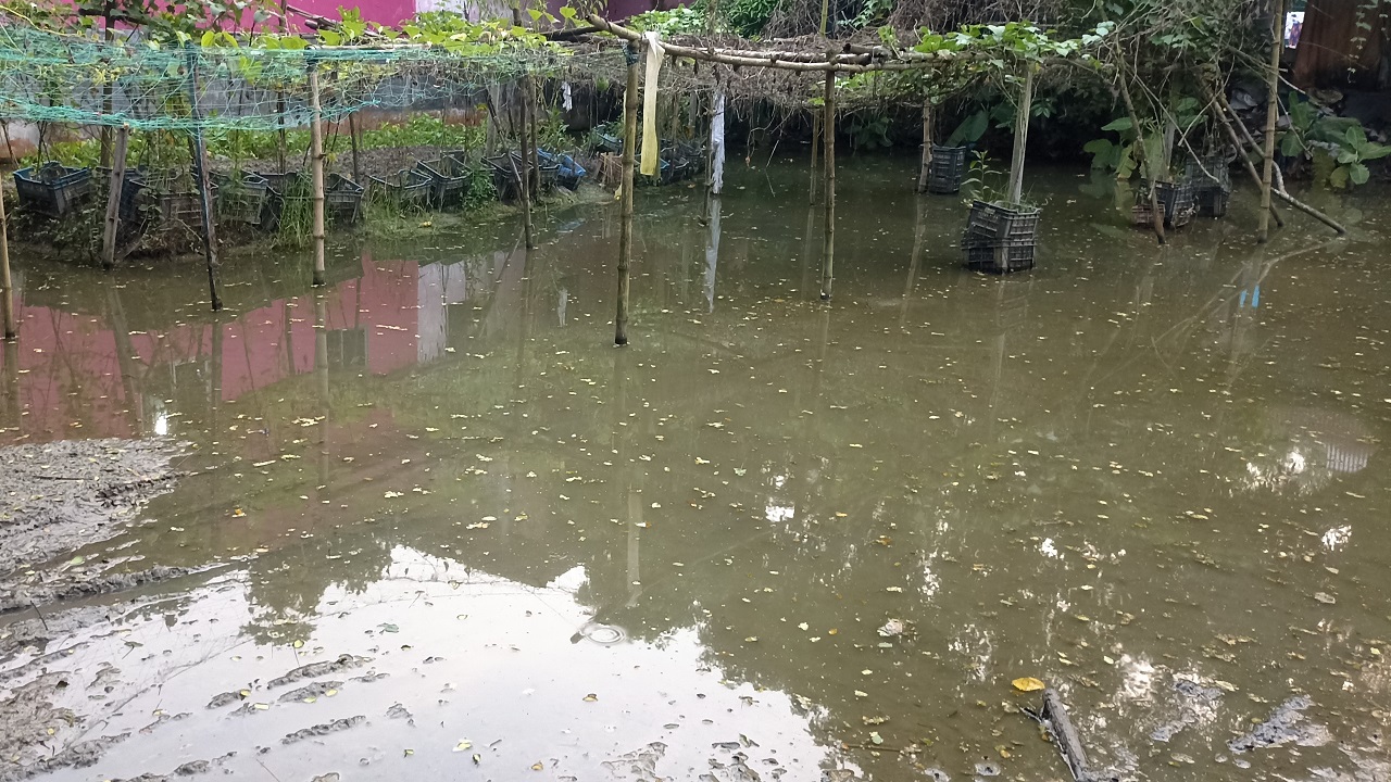 কুমিল্লার ব্রাহ্মণপাড়ায় জলাবদ্ধতা দেখা দিয়েছে। ছবি : কালবেলা