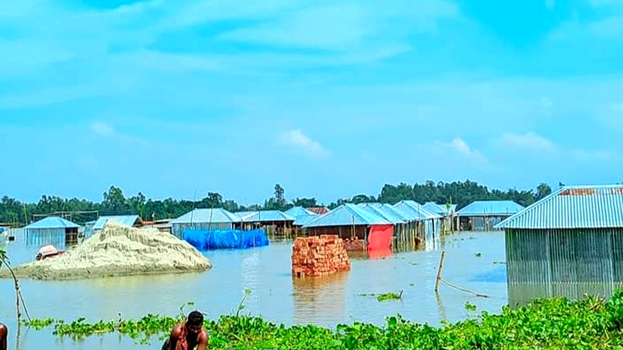 বগুড়ার হলিদাবগা বাঙালি হাট পানিতে তলিয়ে গেছে। ছবি : কালবেলা