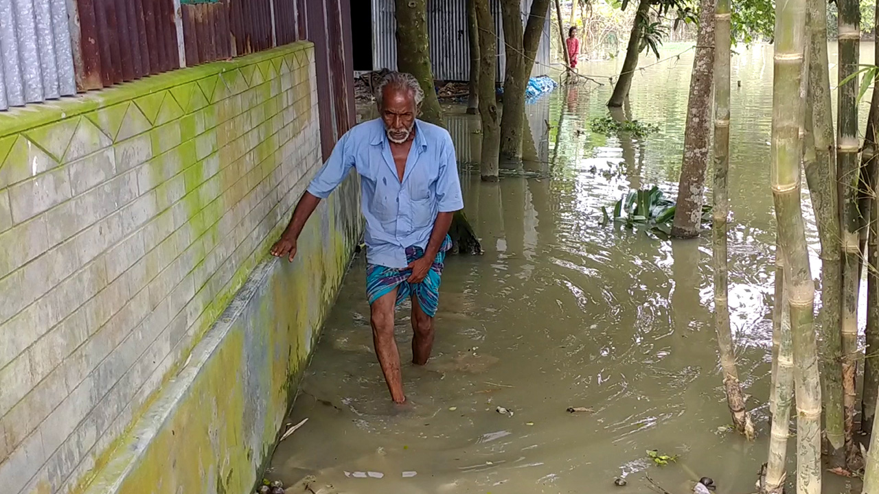 কিশোরগঞ্জে সরকারি কালভার্ট বন্ধ করে মাছ চাষ করার পানিবন্দি ৪০০ পরিবার। ছবি : কালবেলা