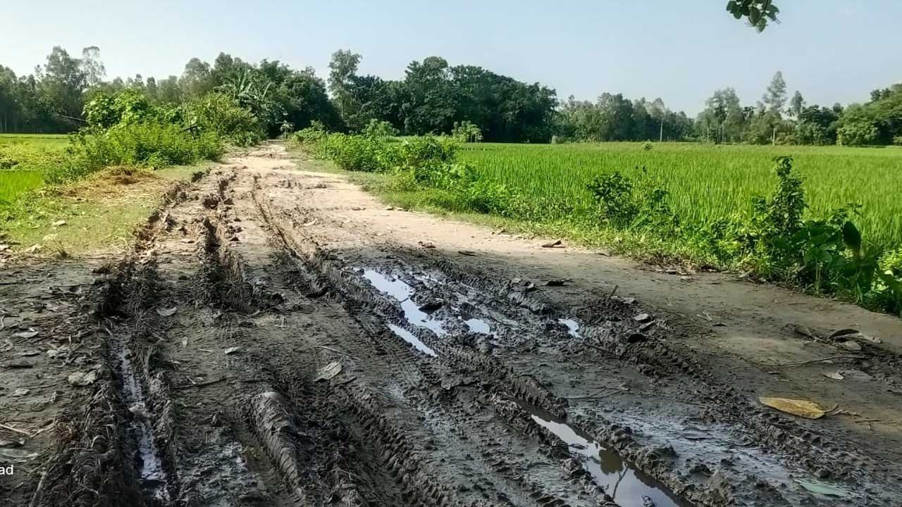 কাঁচা সড়ক পাকা না হওয়ায় দুর্ভোগে গ্রামের মানুষ। ছবি : কালবেলা