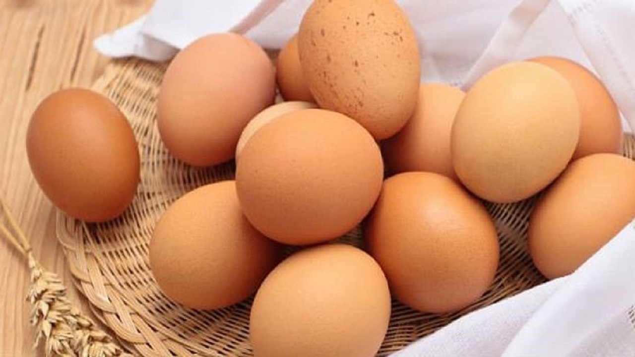 ডিম। ছবি : সংগৃহীত