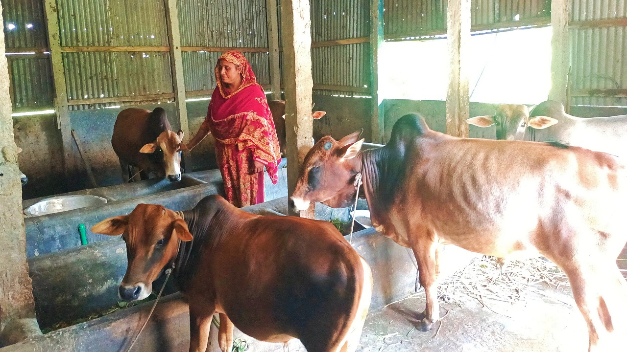 নিজ খামারে মেহেরুন্নেছা। ছবি : কালবেলা