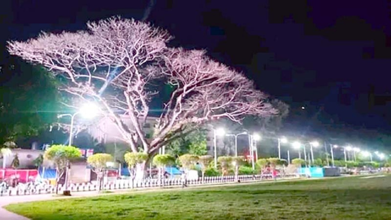 বরিশাল নগরীর বঙ্গবন্ধু উদ্যান। ছবি : সংগৃহীত