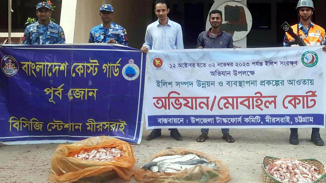 মিরসরাইয়ে ৪০ কেজি ইলিশ ও রঙ মিশ্রিত ৬০ কেজি পোয়া মাছ জব্দ। ছবি : কালবেলা