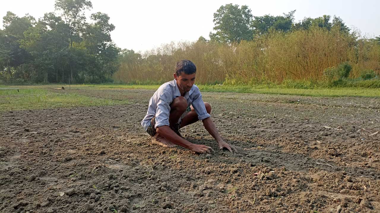 কুমিল্লায় সবজি চাষে জমি প্রস্তুত করছেন চাষি। ছবি : কালবেলা