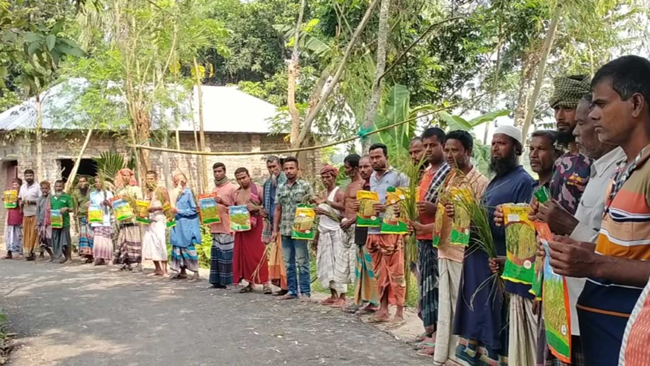 নাটোরে ভেজাল ধানের বীজে সর্বনাশ হওয়ায় মানববন্ধন করেছে ক্ষতিগ্রস্ত কৃষকরা। ছবি : কালবেলা