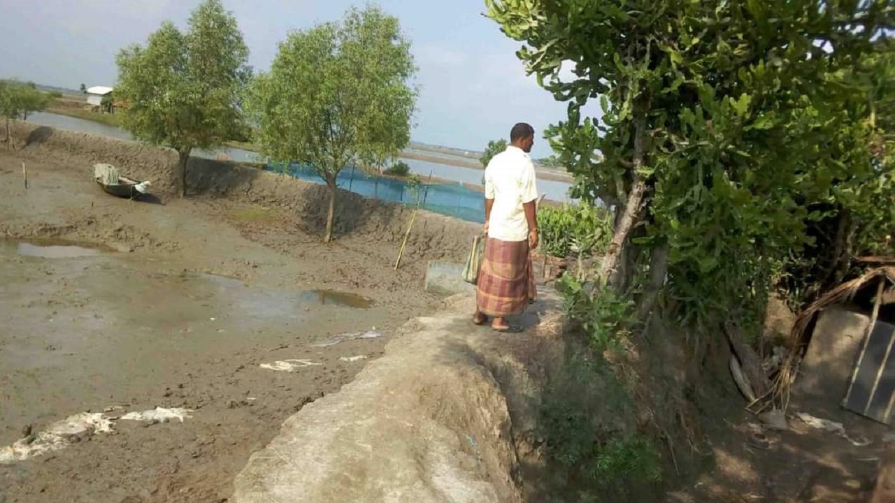 সাতক্ষীরার আশাশুনি সদরের দয়ারঘাট এলাকা। ছবি : কালবেলা