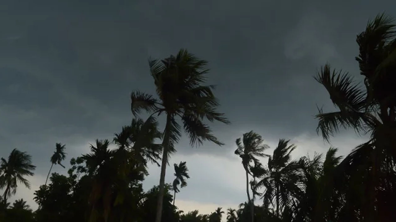 পুরোনো ছবি