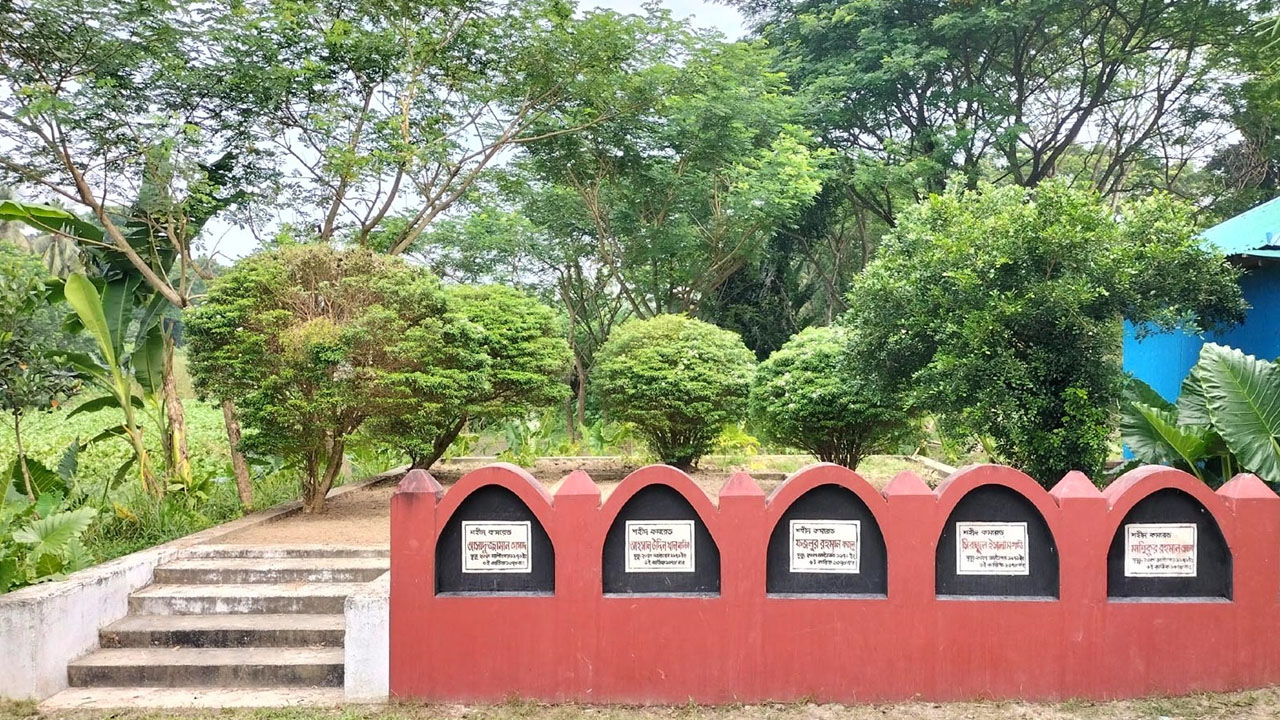 যশোরের মনিরামপুরে পাঁচ শহীদের কবর। ছবি : কালবেলা