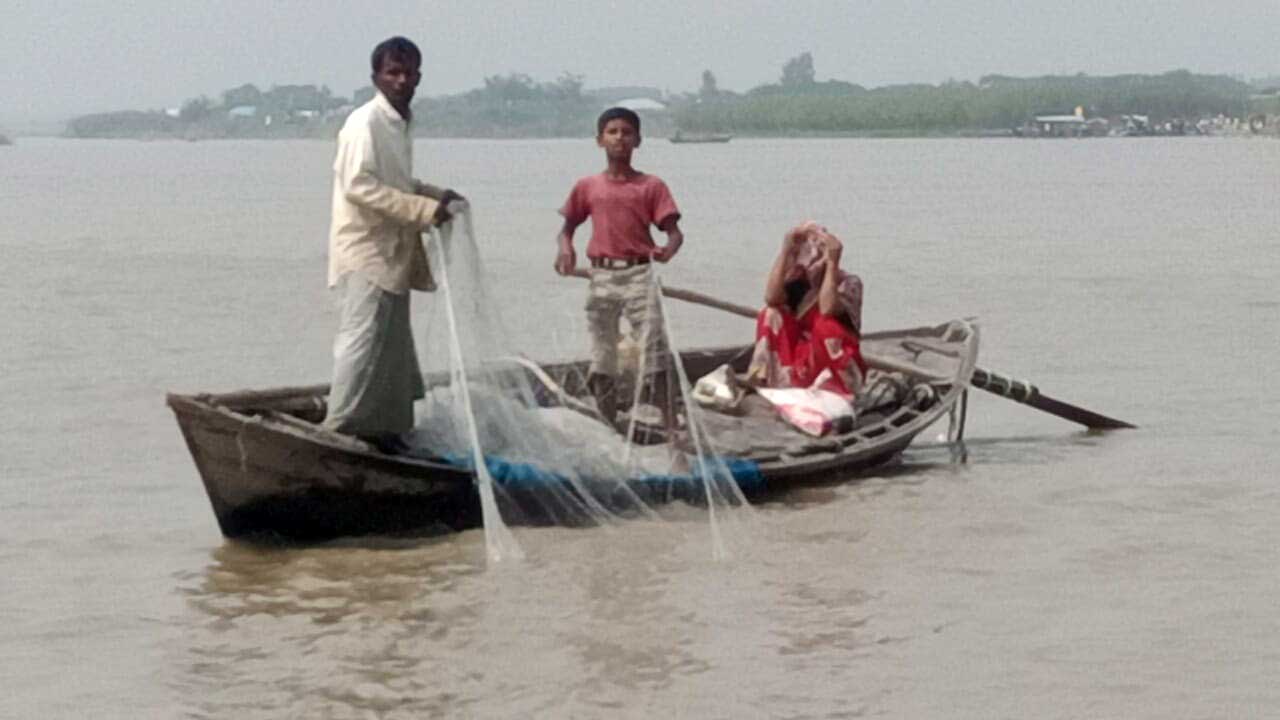 নিষেধাজ্ঞার মধ্যে চলছে মা ইলিশ নিধন। ছবি : কালবেলা