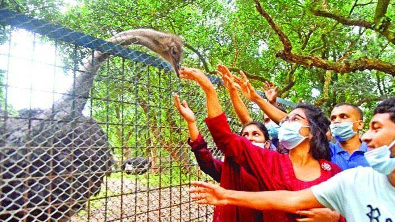 প্রতীকী ছবি