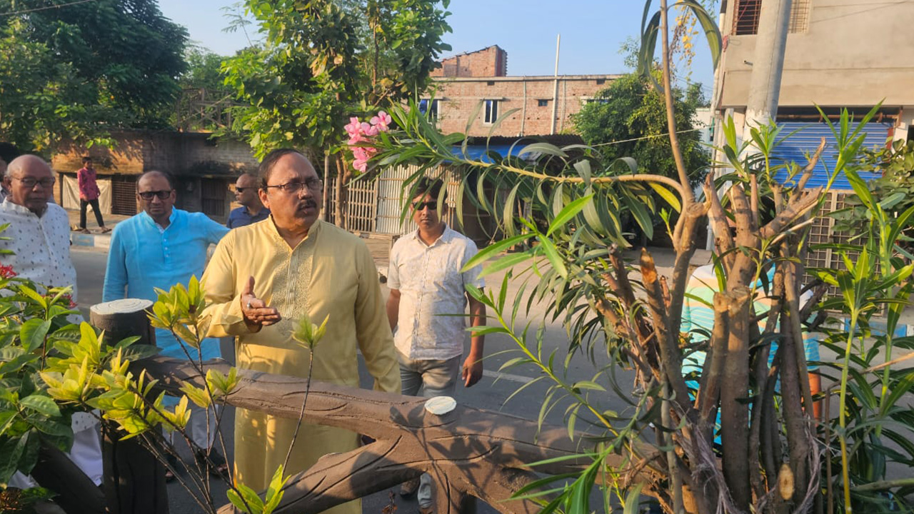 রাজশাহী নগরীর সৌন্দর্যবর্ধনকারী ১২৫টি গাছ কেটে নিল দুর্বৃত্তরা। ছবি : কালবেলা