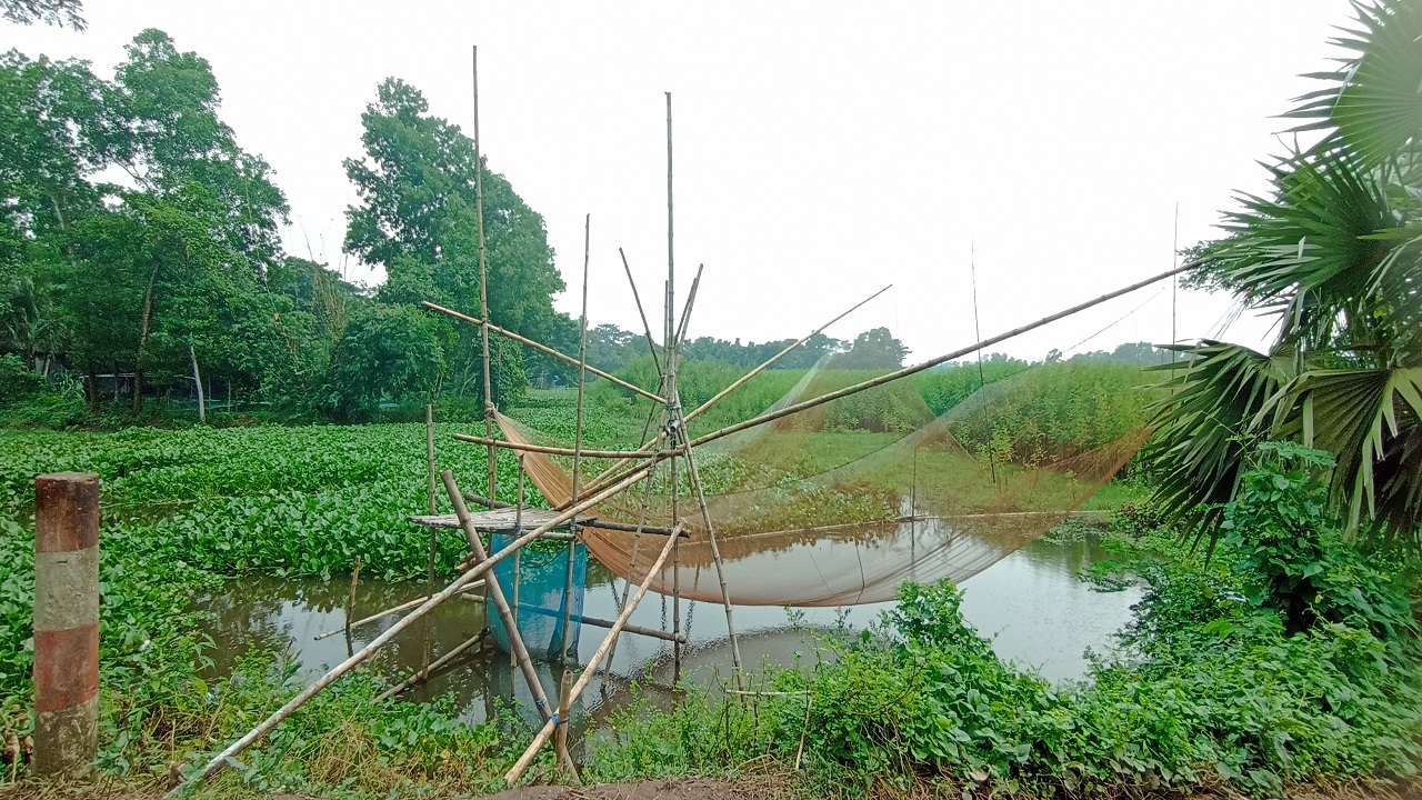 ভেসাল জাল। ছবি : কালবেলা