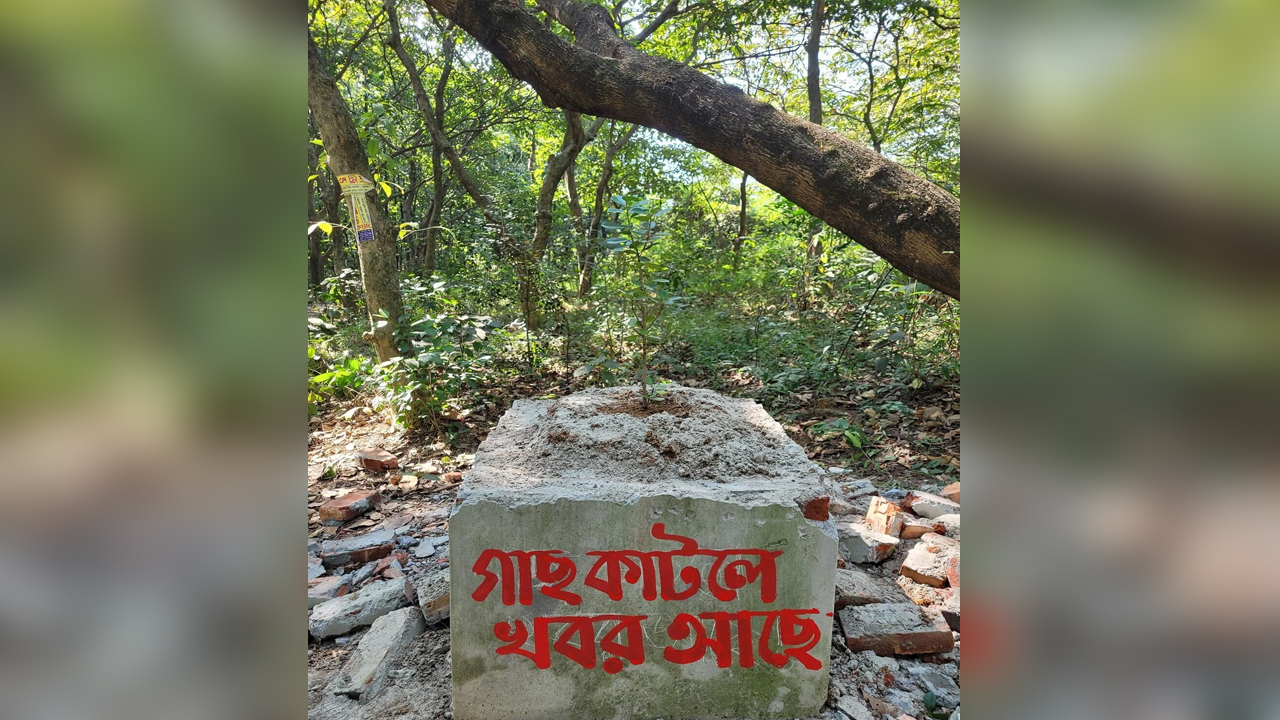 জাহাঙ্গীরনগর বিশ্ববিদ্যালয়ে শিক্ষার্থীদের অভিনব প্রতিবাদ। ছবি : কালবেলা