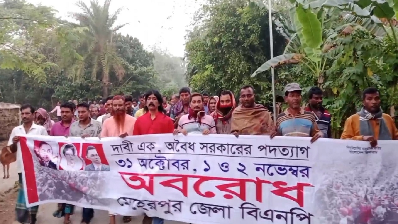মেহেরপুরে বিক্ষোভ মিছিল করছেন জেলা বিএনপির নেতাকর্মীরা। ছবি : কালবেলা