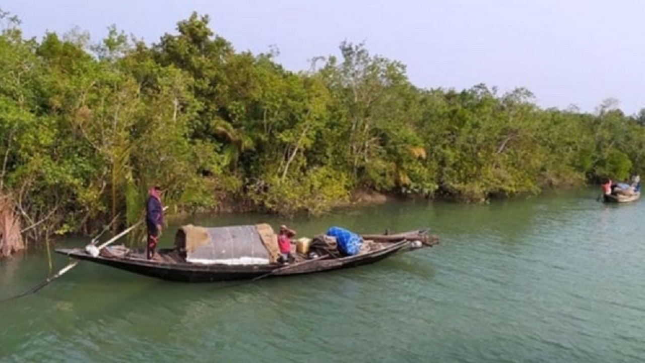 পর্যটকশূন্য হয়ে পড়েছে সুন্দরবনের সাতক্ষীরা রেঞ্জ। ছবি : কালবেলা