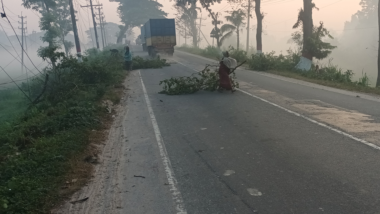ঢাকা-আরিচা মহাসড়কে ফেলা গাছ পুলিশ সরিয়ে নিলে যান চলাচল শুরু হয়। ছবি : কালবেলা