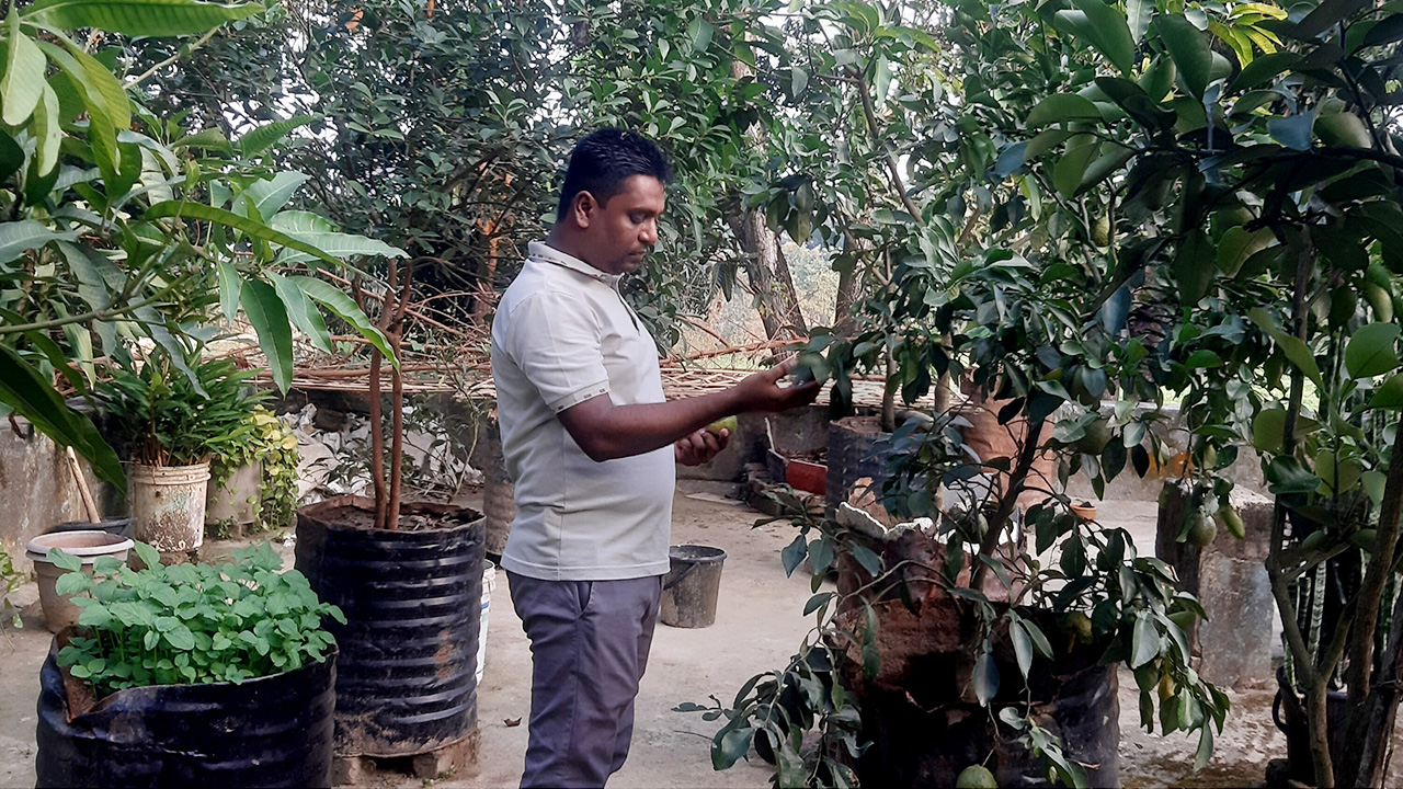 এসিল্যান্ড মো.শফিকুল ইসলামের ছাদ বাগান। ছবি : কালবেলা