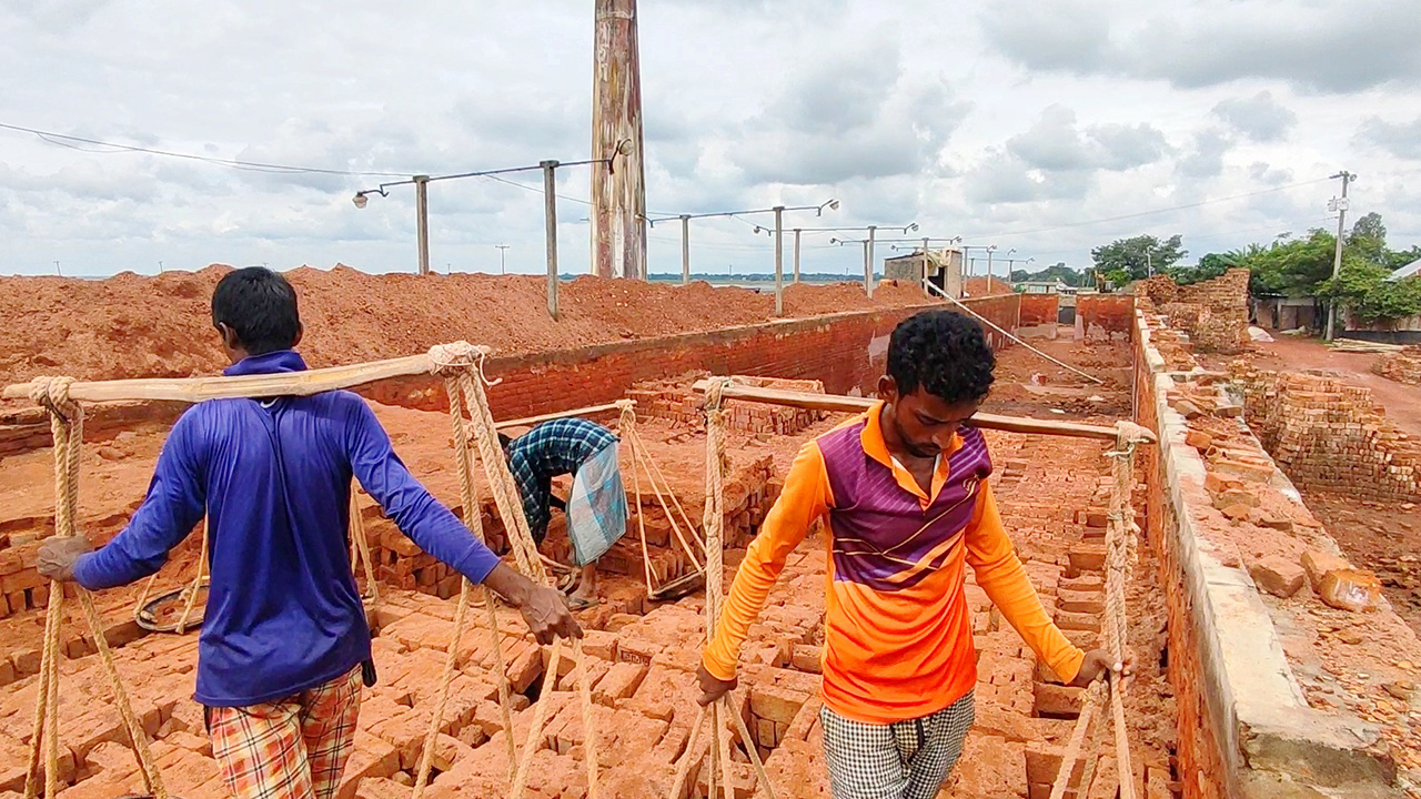 ব্রাহ্মণবাড়িয়ার নাসিরনগরে ইটভাটার একটি চিত্র। ছবি : কালবেলা
