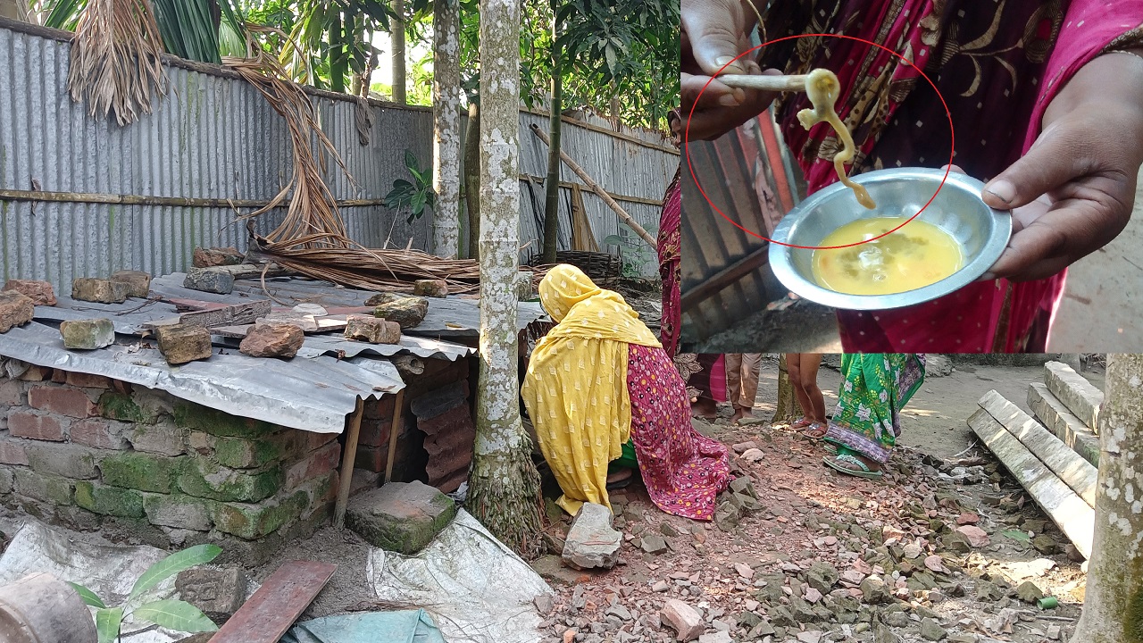 উলিপুরের ফিরোজ আলমের বাড়ির হাঁসের খোঁয়াড়। ইনসেটে ডিমের মধ্যে থাকা সাপ। ছবি : কালবেলা
