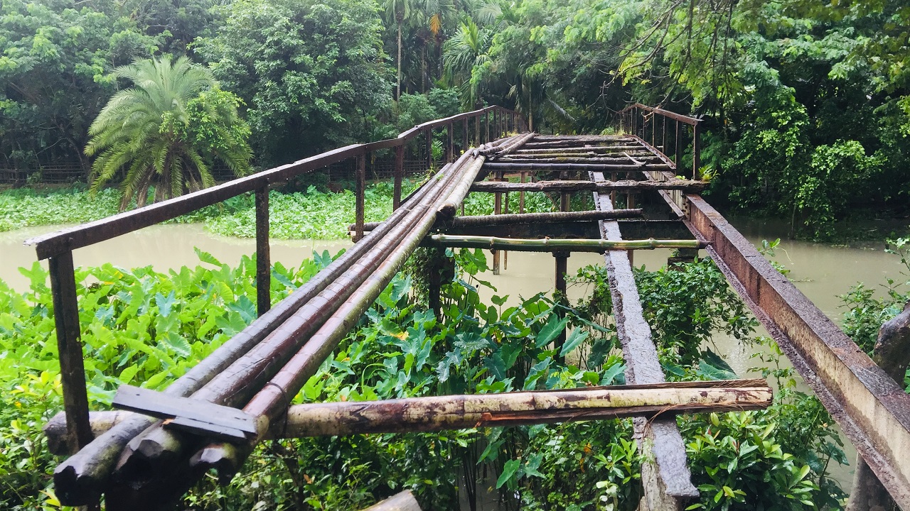 মঠবাড়িয়ার গোলবুনিয়া ও জানখালী গ্রামের সীমান্তবর্তী সাংরাইল খালের ওপর নির্মিত সংযোগ সেতু। ছবি : কালবেলা
