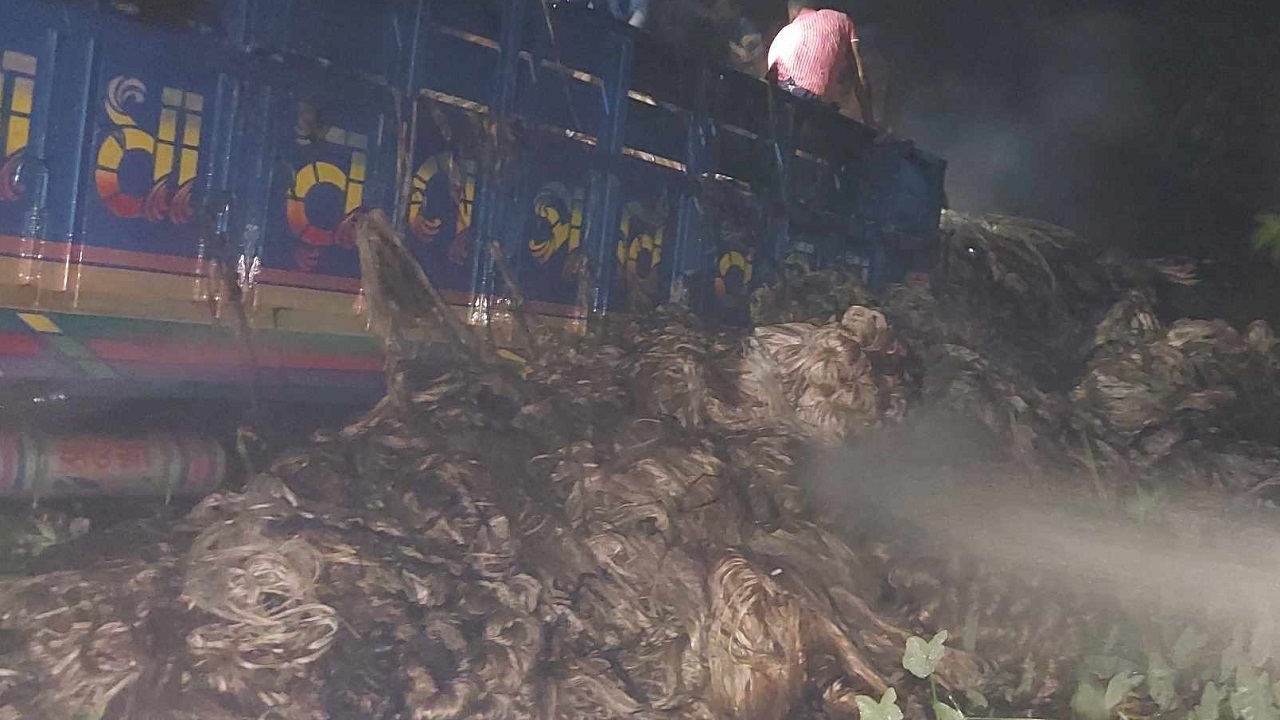 বালিয়াকান্দিতে অগ্নিসংযোগ করা পাটভর্তি ট্রাক। ছবি : কালবেলা
