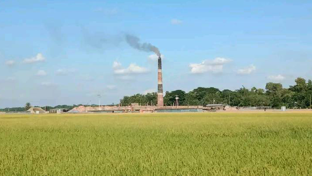 নেত্রকোনার কেন্দুয়া উপজেলায় স্থানীয় একটি ইটভাটা। ছবি : কালবেলা