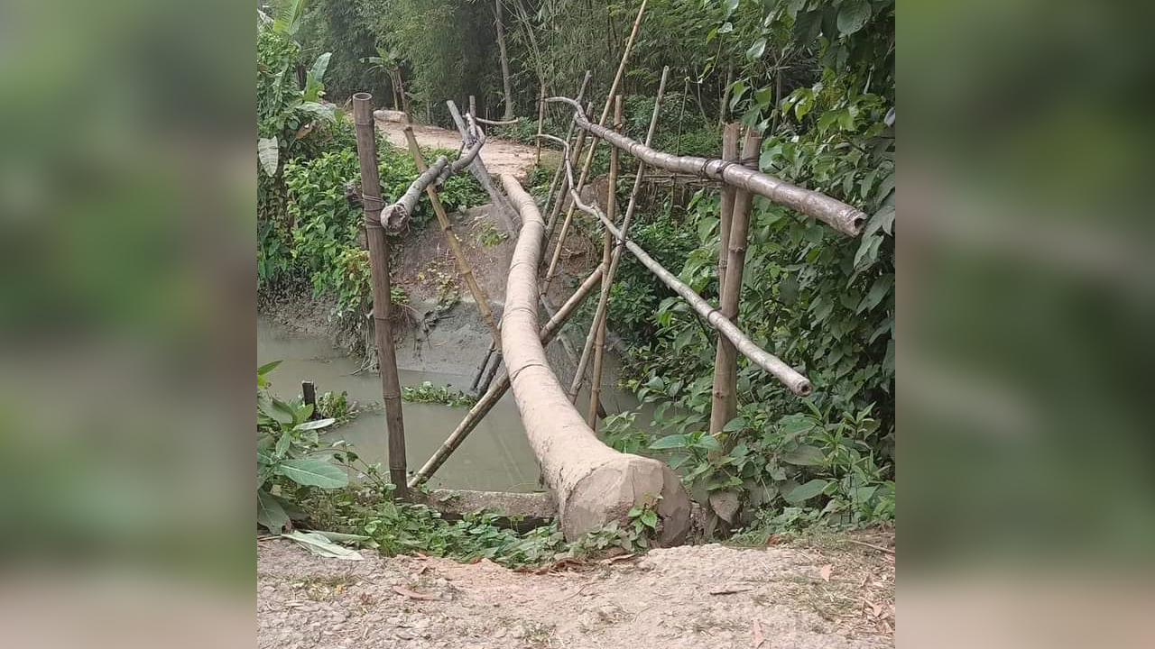 বাকেরগঞ্জে কয়েক গ্রামের যাতায়াতের একমাত্র ভরসা বাঁশের সাঁকো। ছবি : কালবেলা