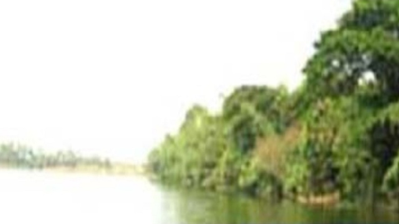 চৌদ্দগ্রাম উপজেলার জগন্নাথদীঘি। ছবি : কালবেলা