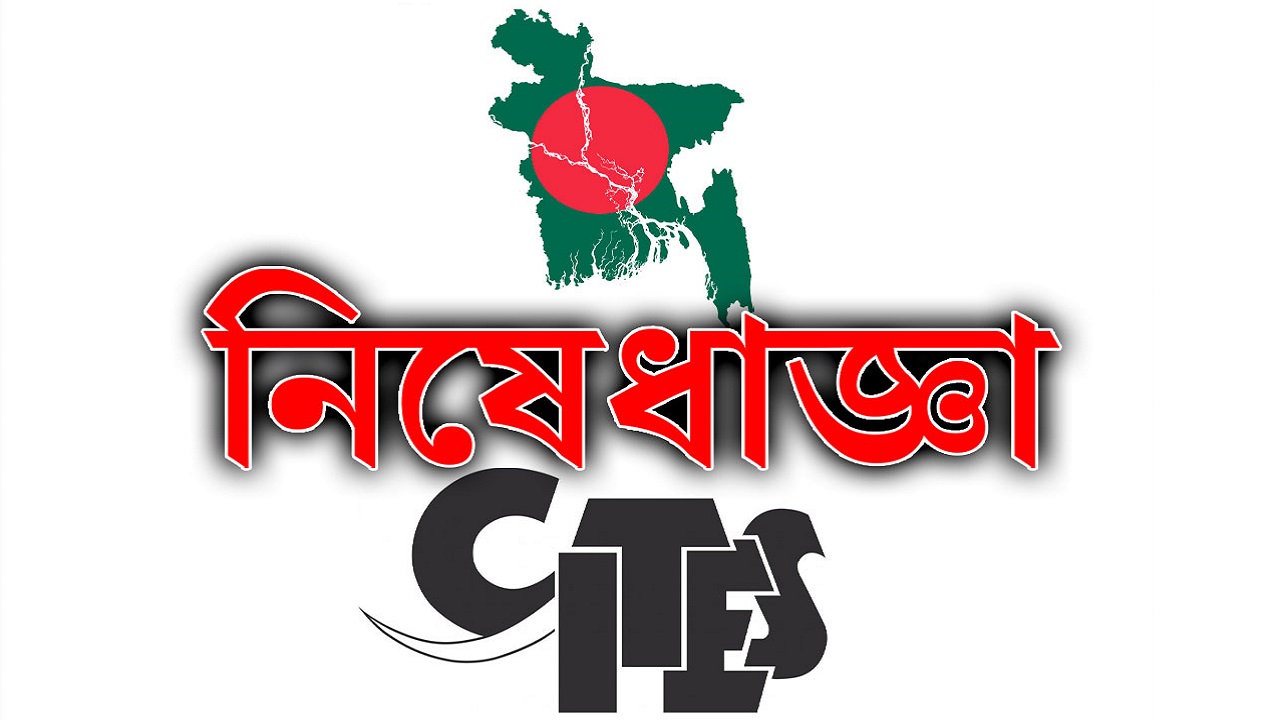 বাংলাদেশের ওপর নিষেধাজ্ঞা আরোপ করেছে কনভেনশন অন ইন্টারন্যাশনাল ট্রেড ইন ডেনজার স্পিশিচ অব ফায়োনা অ্যান্ড ফ্লোরা বা সাইটিস। ছবি : সংগৃহীত