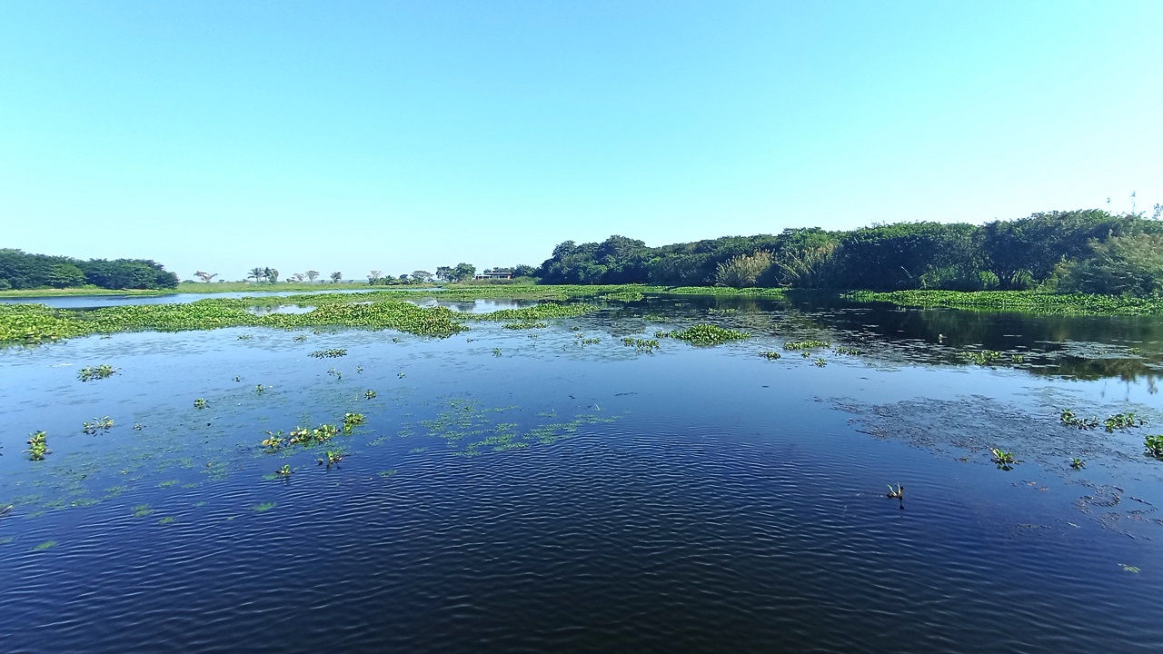 বাইক্কা বিল। ছবি : কালবেলা