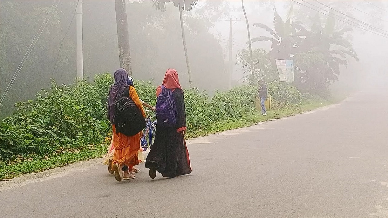 শীতের সকালে কুয়াশার চাদর ভেদ করে স্কুলে যাচ্ছেন তেঁতুলিয়ার কয়েক শিক্ষার্থী। ছবি : কালবেলা