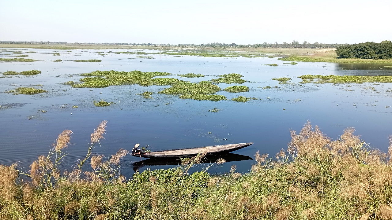 মৎস্য অভয়াশ্রম বাইক্কা বিল। ছবি : কালবেলা