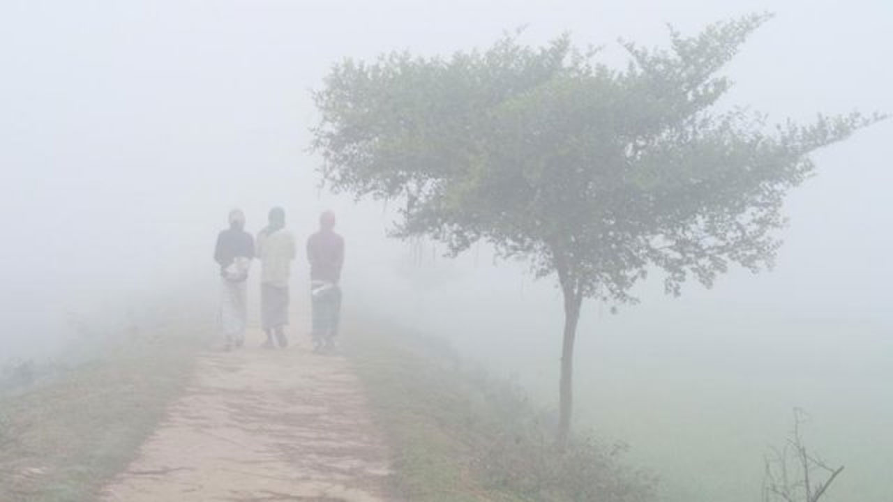 ছবি : সংগৃহীত
