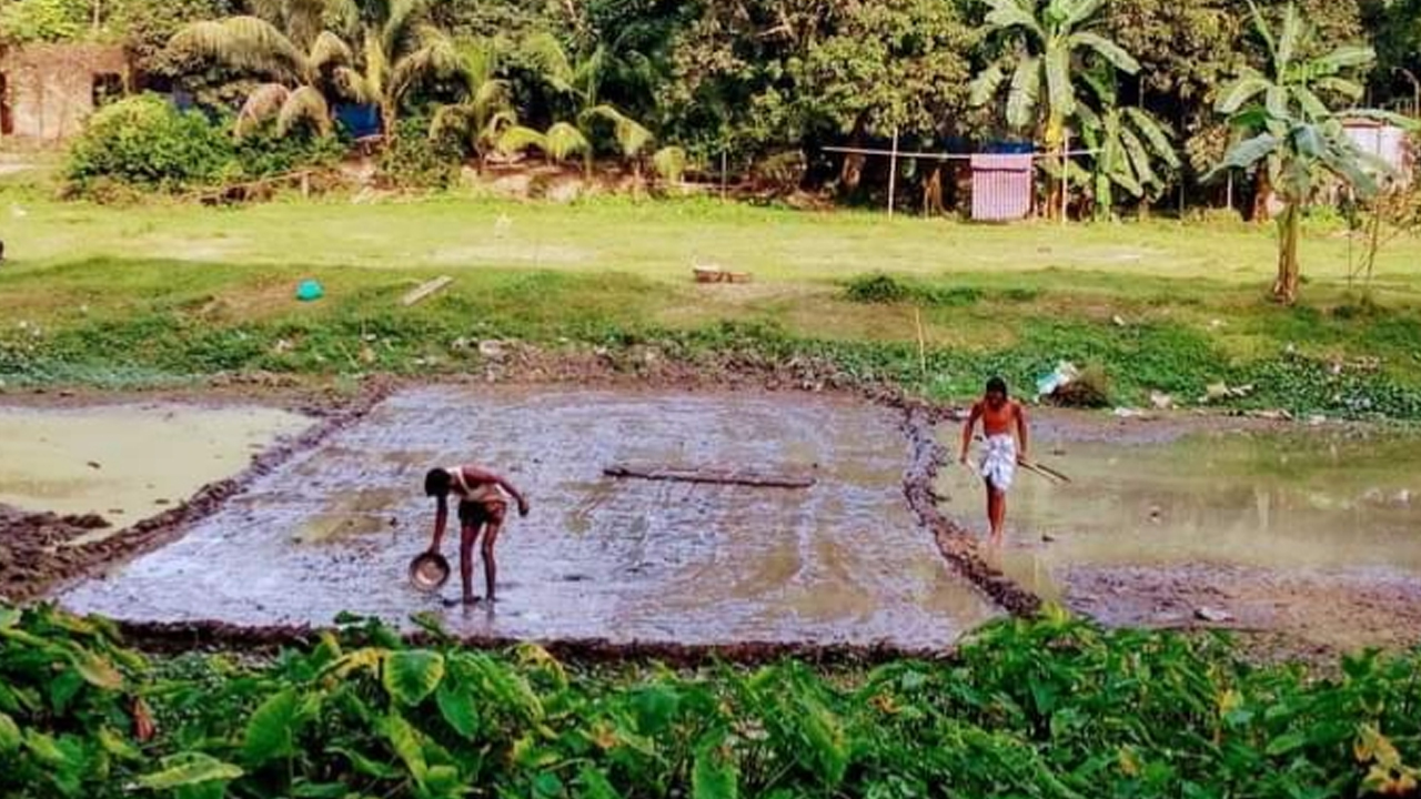 নেত্রকোনার কেন্দুয়ায় বীজতলা প্রস্তুতে ব্যস্ত কৃষক। ছবি : কালবেলা