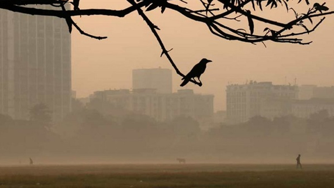 শীতের সকাল। ছবি : সংগৃহীত
