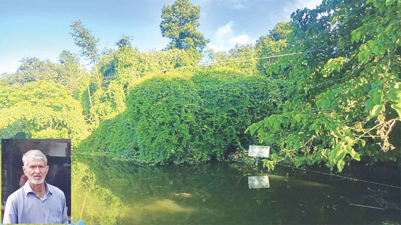 কাগেশ্বরী নদীর ধারে ৬ একর জমিতে গড়ে তোলা কৃত্তিম অভয়ারণ্য। ইনসেটে আকাশ কলি দাস। ছবি : কালবেলা