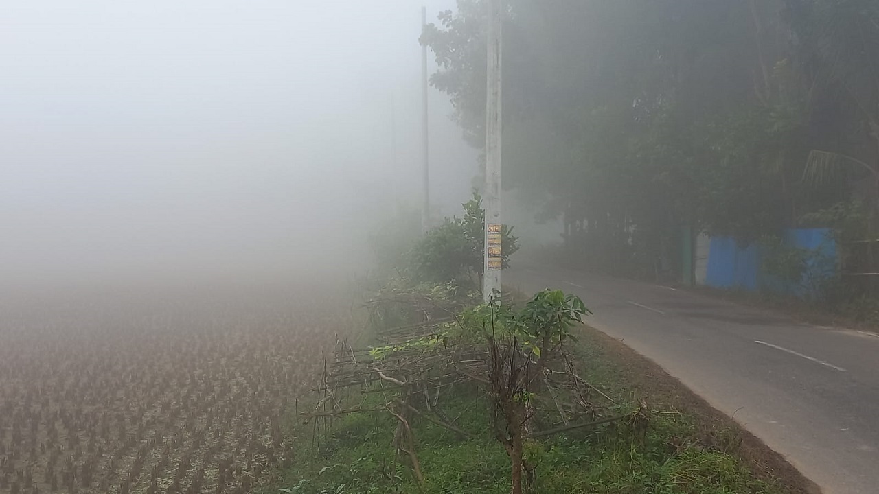 ফেনীতে কুয়াশায় ঢাকা পড়েছে ফসলি মাঠ ও রাস্তা। ছবি : কালবেলা