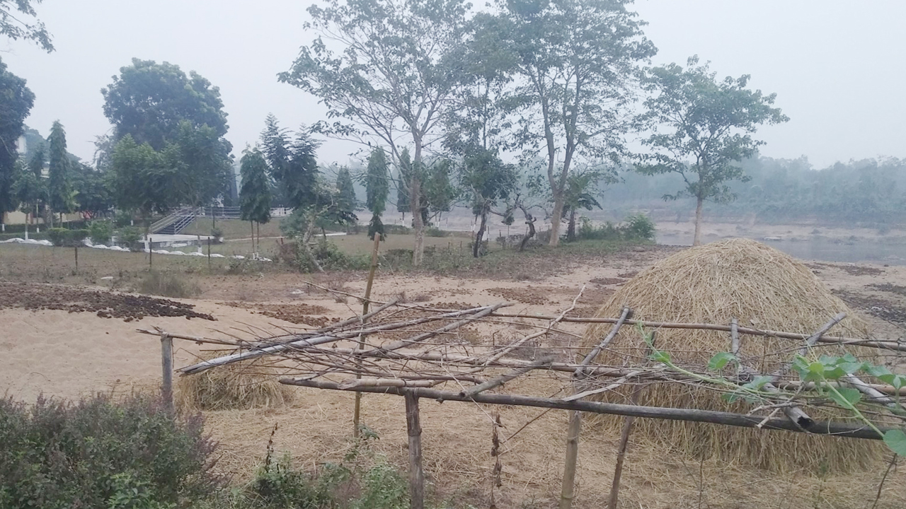 সংরক্ষণ না করায় বোঝার উপায় নেই এখানে রয়েছে শহীদদের গণকবর। ছবি : কালবেলা