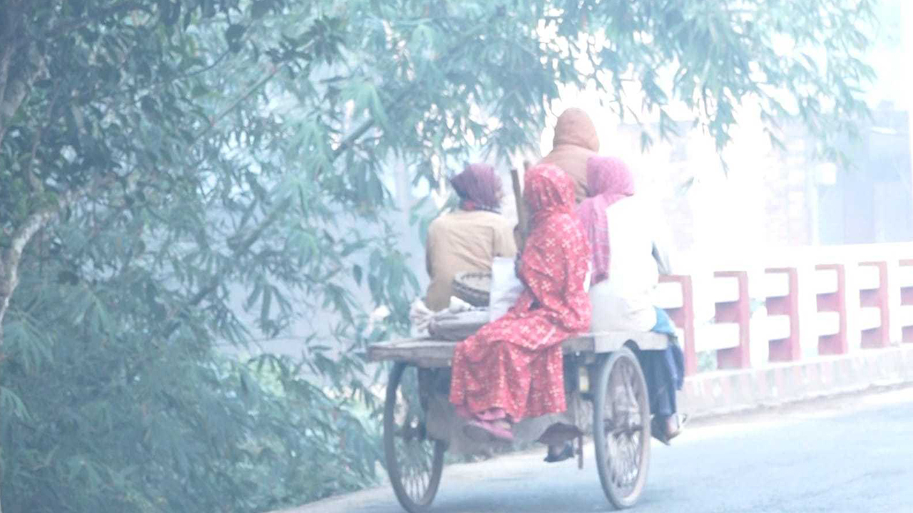মেহেরপুরে কমছে তাপমাত্রা। ছবি : কালবেলা