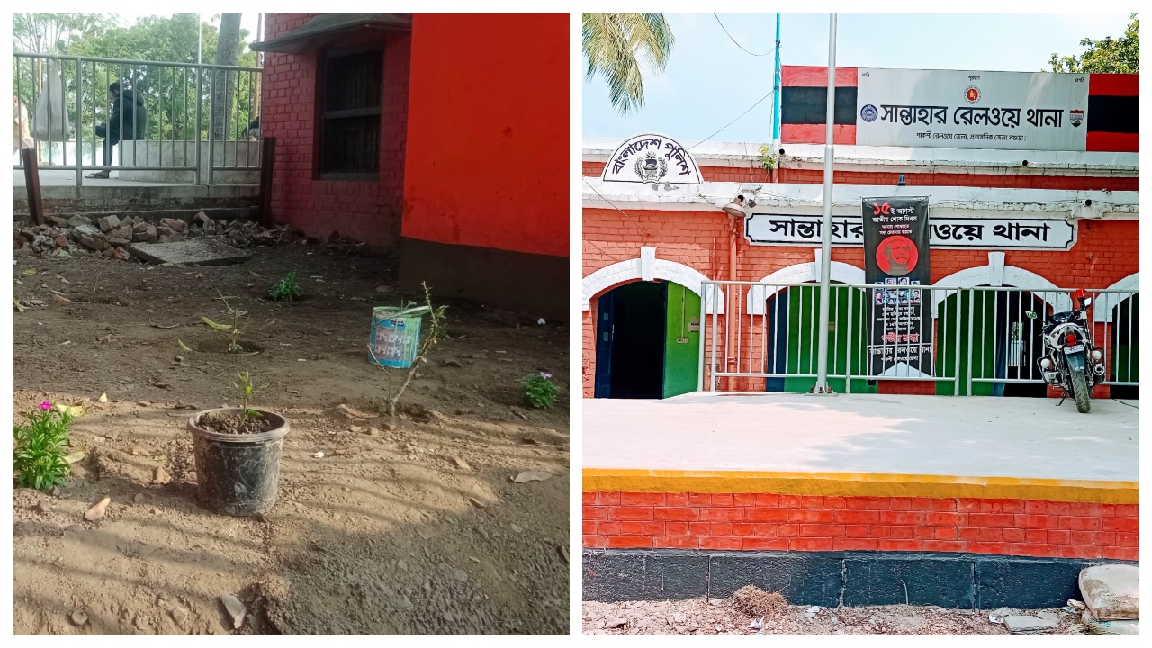 সান্তাহার রেলওয়ে থানা প্রাঙ্গণে লাগানো ফুলগাছ খেয়ে ফেলে ছাগল। ছবি : কালবেলা