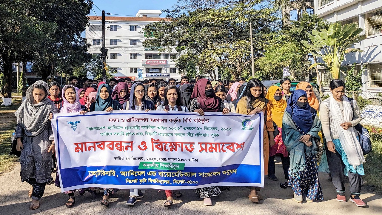 ক্লাস বর্জন করে মানববন্ধন কর্মসূচি পালন করছেন সিকৃবির ভেটেরিনারি অনুষদের শিক্ষার্থীরা। ছবি : কালবেলা